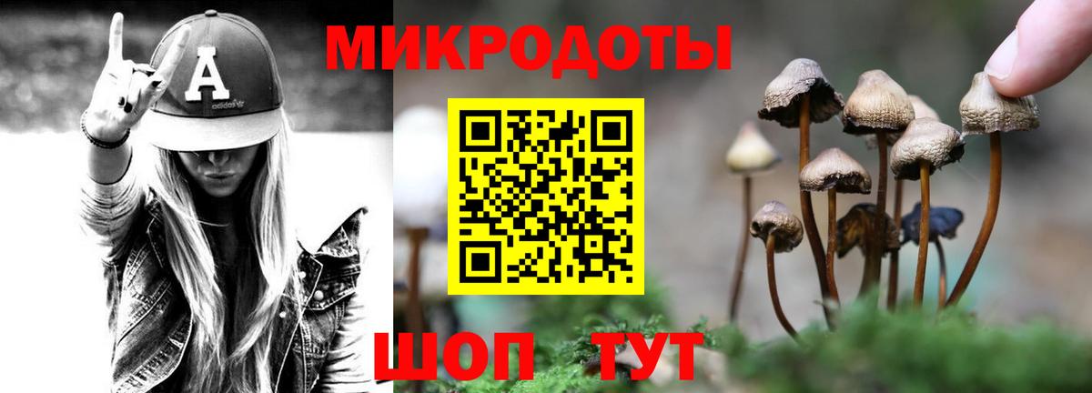 Псилоцибиновые грибы Cubensis  Вход с VPN  Грязи  закладки  Псилоцибиновые грибы ЛСД 